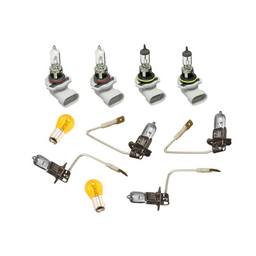 Volvo Multi Purpose Light Bulb Kit - Hella 3101974KIT